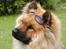 Eurasier Nemo (Beebob) R.I.P. - Hey hey smukke!! Klø mig lige lidt var!