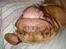 Dogue de bordeaux Den røde tønde, Rosita. R.I.P. - Jeg sover på ryggen