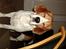 Beagle *Victor<3* - Ej mor! Blizen blænder mig ! <3
