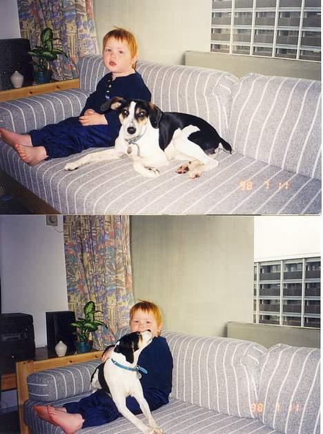 Blanding af racer Molly(DØD) - Markus en dreng jeg babysittede og Molly billede 10