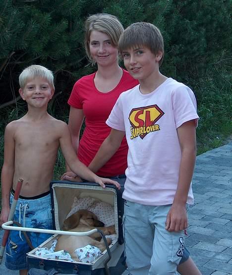 Broholmer Valde Ole Elo Edlav <''3 - Uha, den gang kunna han være i barnevognen :D billede 3