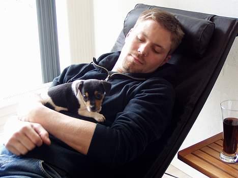 Dansk svensk gaardhund Thor - Hygger med min far billede 4