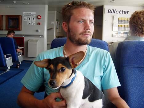 Dansk svensk gaardhund Thor - Min først færgetur... Jeg var rigtig dygtig! billede 6