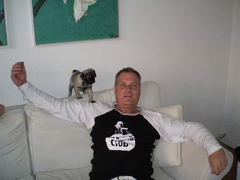 Mops Mester billede 12