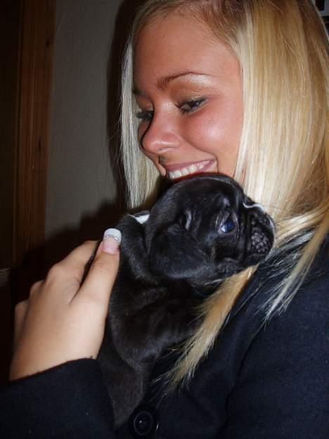 Fransk bulldog Kira - mig og moster Lotte... uhh hun er ny en sød moster..  billede 5