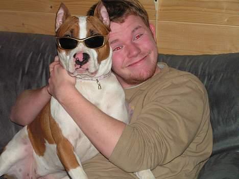 Amerikansk staffordshire terrier midi - mig og far er rigtig seje..! billede 3