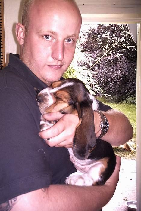 Basset hound Buller - far passer på mig. jeg var jo kun en lille baby billede 9