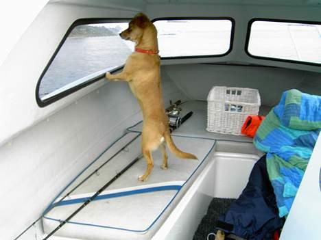 Blanding af racer Luna - Nu er vi vist snart i havn.......  billede 7