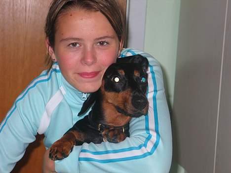 Gravhund Tinka - Mig og min hund. billede 8