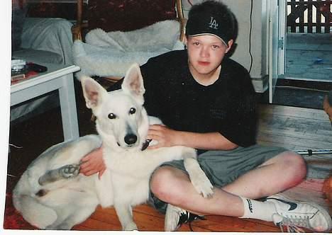 Hvid schæfer Debbie - Her er jeg sammen med Frank, han leger altid med mig! billede 15