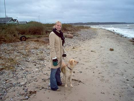 Golden retriever Bella også kaldet bellsen - mig og mor på stranden billede 13