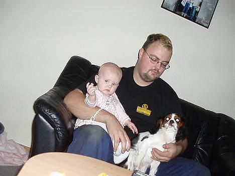 Cavalier king charles spaniel Munkebo's Fie RIP - her med Nikoline og far billede 19