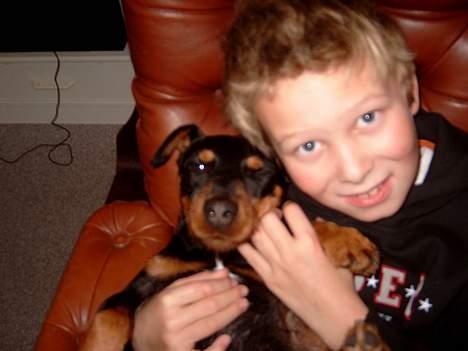 Tysk jagtterrier Balto (død) - Min lille bror Anders og Balto billede 8