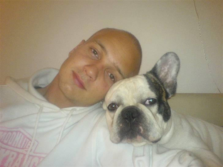 Fransk bulldog Frykas Baflo (FIGHTER) - Hottie Nr. 1 og Hottie nr. 2....... Thihi...... billede 19