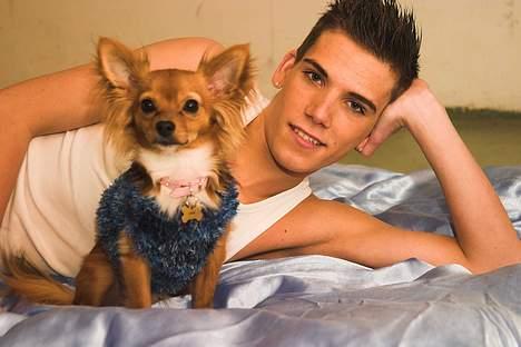 Chihuahua Louis the Pitbull - Hej hej !  billede 7