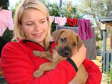 Rhodesian ridgeback Qenzo *Død*  - min søs og Qenzo over på kennelen billede 2
