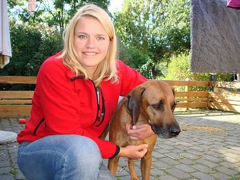 Rhodesian ridgeback Qenzo *Død*  - min søs og Qenzo´s mor tabili  billede 4