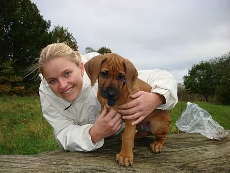 Rhodesian ridgeback Qenzo *Død*  - på en træstamme i skoven  billede 7