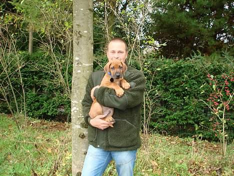 Rhodesian ridgeback Qenzo *Død*  - min søsters kæreste og Qenzo  billede 8