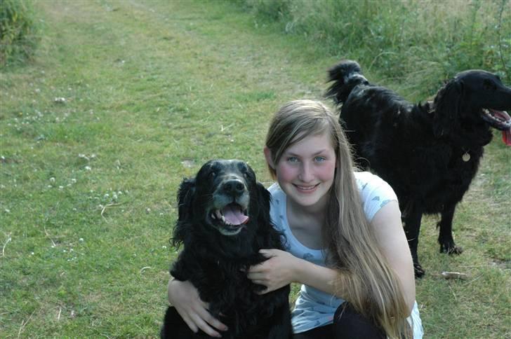 Flat coated retriever Bonnie * I Himlen * - Mig og Bonnie på en lille gå tur <3 billede 9