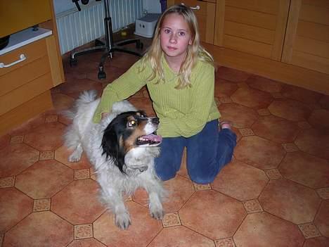 Blanding af racer bamse - elsker bare jeanette !!!!!<= billede 2