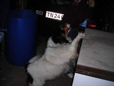 Blanding af racer bamse - er der mon noget lækkert her i billede 11