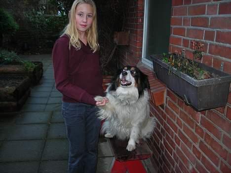 Blanding af racer bamse - se jeg kan også give pote (er du bare ligeglad) billede 12