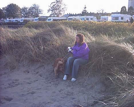 Cocker spaniel lucky (DØD) billede 8