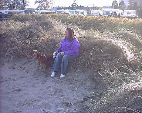 Cocker spaniel lucky (DØD) billede 11