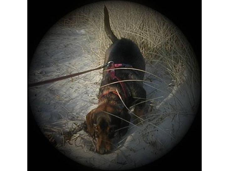 {{currentPhoto.altText}} billede {{currentPhoto.number}}