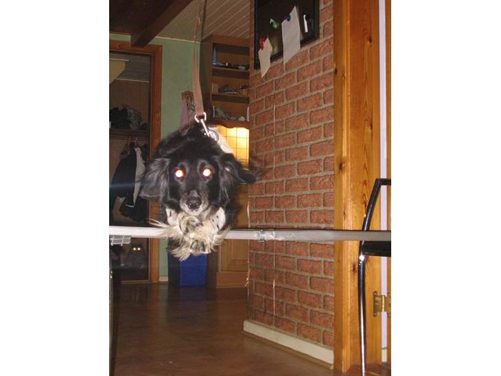 {{currentPhoto.altText}} billede {{currentPhoto.number}}