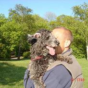 Blanding af racer Chios