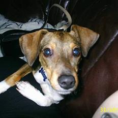 Blanding af racer oscar