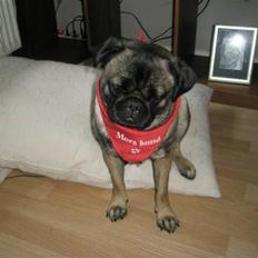 Blanding af racer Louis