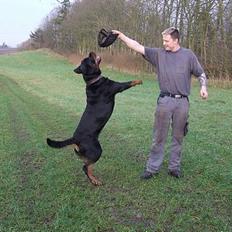 Rottweiler Brotus R.I.P