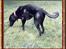 Blanding af racer Tenna *R.I.P*