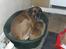 Blanding af racer matson R.I.P. - shh hun sover :-)