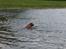 Blanding af racer arko - NYT! 2010 !! arko leger med vandet 