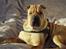 Shar pei Woody