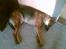 Blanding af racer king - zzzzzzz zzzz ahh sove