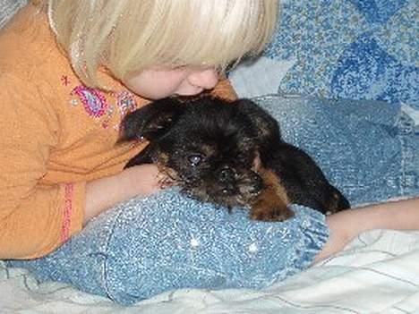 Griffon belge Toro - Min datter Jasmin sammen med Toro billede 4