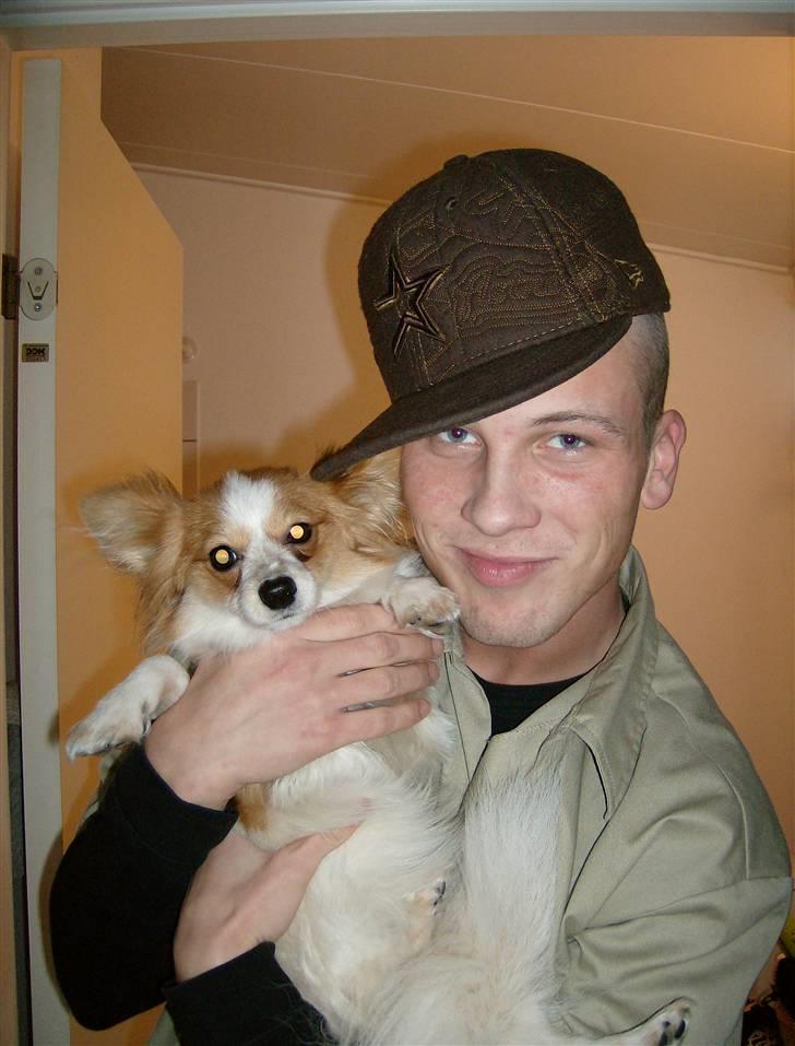 Papillon Luna - Onkel M kan også godt li mig, og jeg ælsker ham.. billede 3