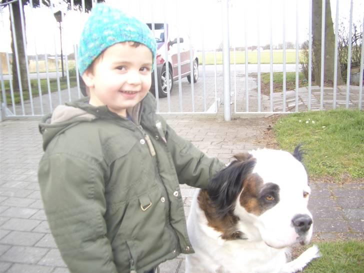 Blanding af racer Asja, R. I. P - Min bedste ven ......... billede 11