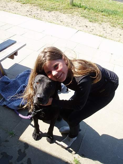 Blanding af racer Bølle  billede 8