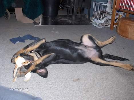 Blanding af racer Lunte **DØD** - Lunte billede 2