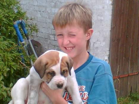 Blanding af racer Cali billede 11