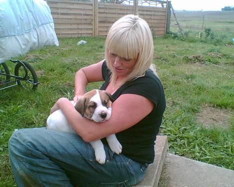 Blanding af racer Cali billede 13