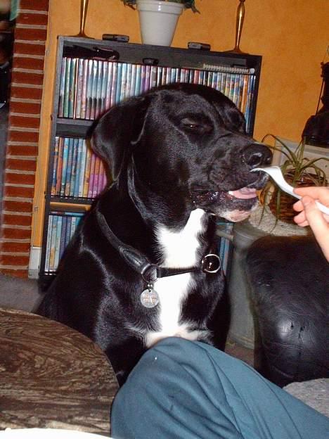 Blanding af racer Carlos - Mums, det her er hygge! billede 12