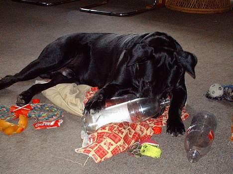 Blanding af racer Carlos - Så, der fik jeg skruet kapslen af.....Så er det bare at få godbidden ud! billede 16