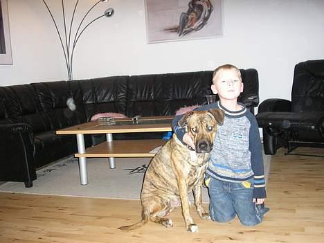 Blanding af racer Xena - Phillip og Xena... billede 8